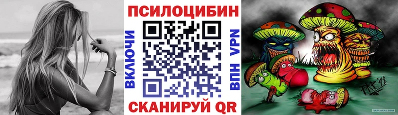 Галлюциногенные грибы MAGIC MUSHROOMS  где найти наркотики  гидра маркетплейс  Гусиноозёрск 